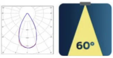 60